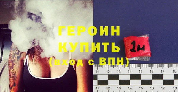 индика Сясьстрой