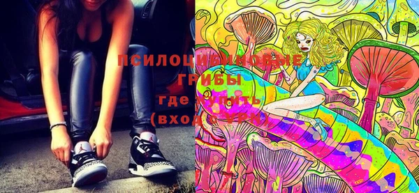 MESCALINE Тайга