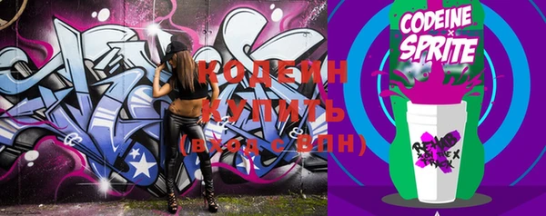 индика Сясьстрой