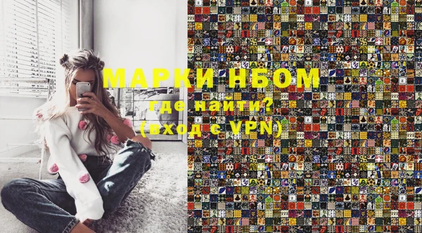 индика Сясьстрой